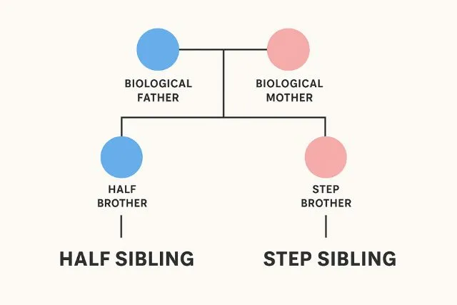 Half Sibling vs Step Sibling